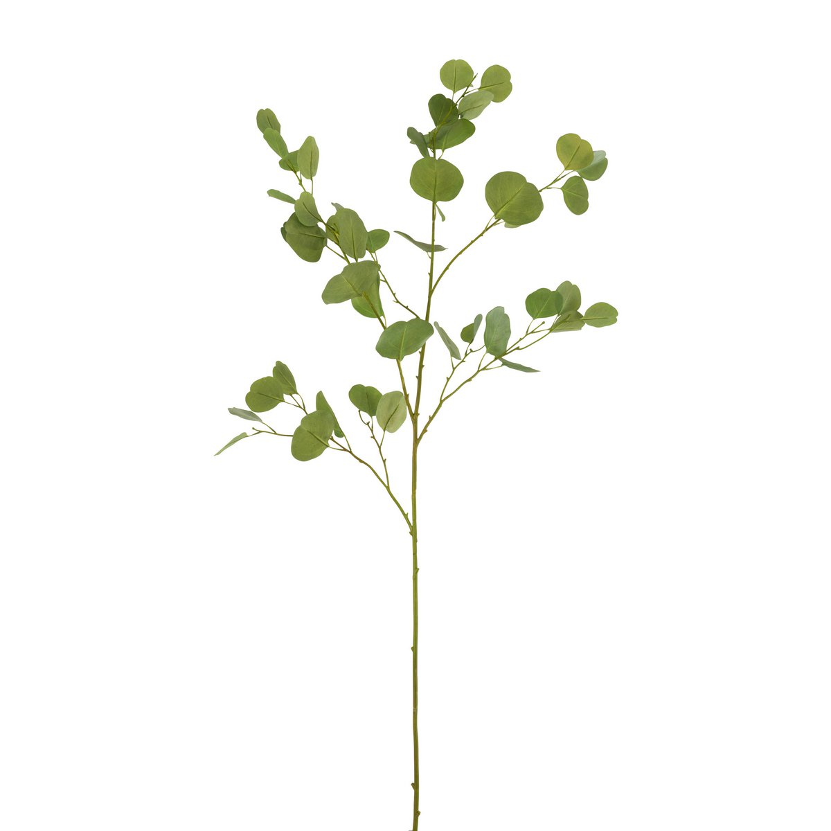 Branche de décoration J-Line Eucalyptus en plastique vert, style bohème
