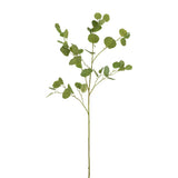 Branche de décoration J-Line Eucalyptus en plastique vert, style bohème