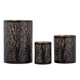 Windlich 3 Set Masterbox 12x 3-Parties Stand Stand Forest Tea Halder Around Black Gold