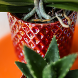 Kolibri Accueil | Pot à perles diamant - Rouge - Ø9cm