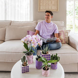 Maison Colibri | Pot décoratif Candy - Lilas - Ø6cm