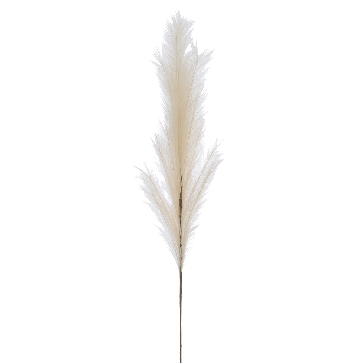 Branche décorative J-Line Plumeau beige, vue de face avec texture réaliste