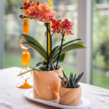Maison Colibri | Pot décoratif Candy - Pêche - Ø9cm