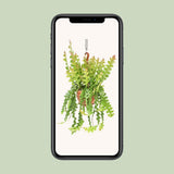 Cactus Fishbone - Élégance naturelle dans votre décoration