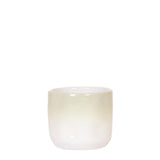 Kolibri Accueil | Pot en verre Gradience - Vert - Ø6cm