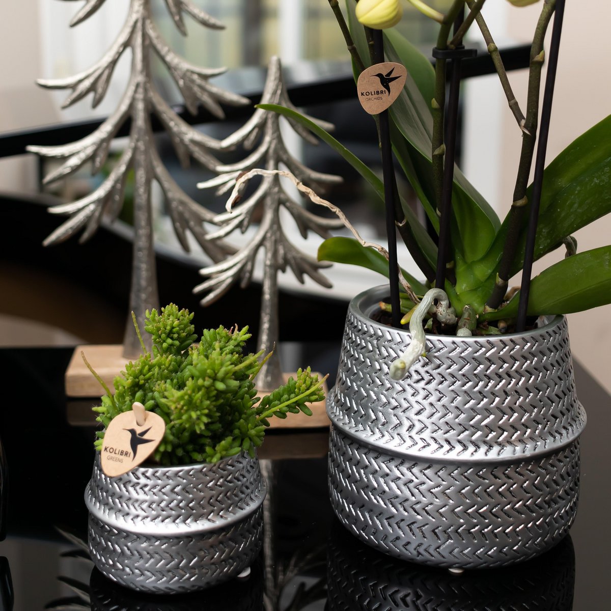 Cache-pot en céramique argenté Ø9 cm