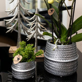 Cache-pot en céramique argenté Ø9 cm
