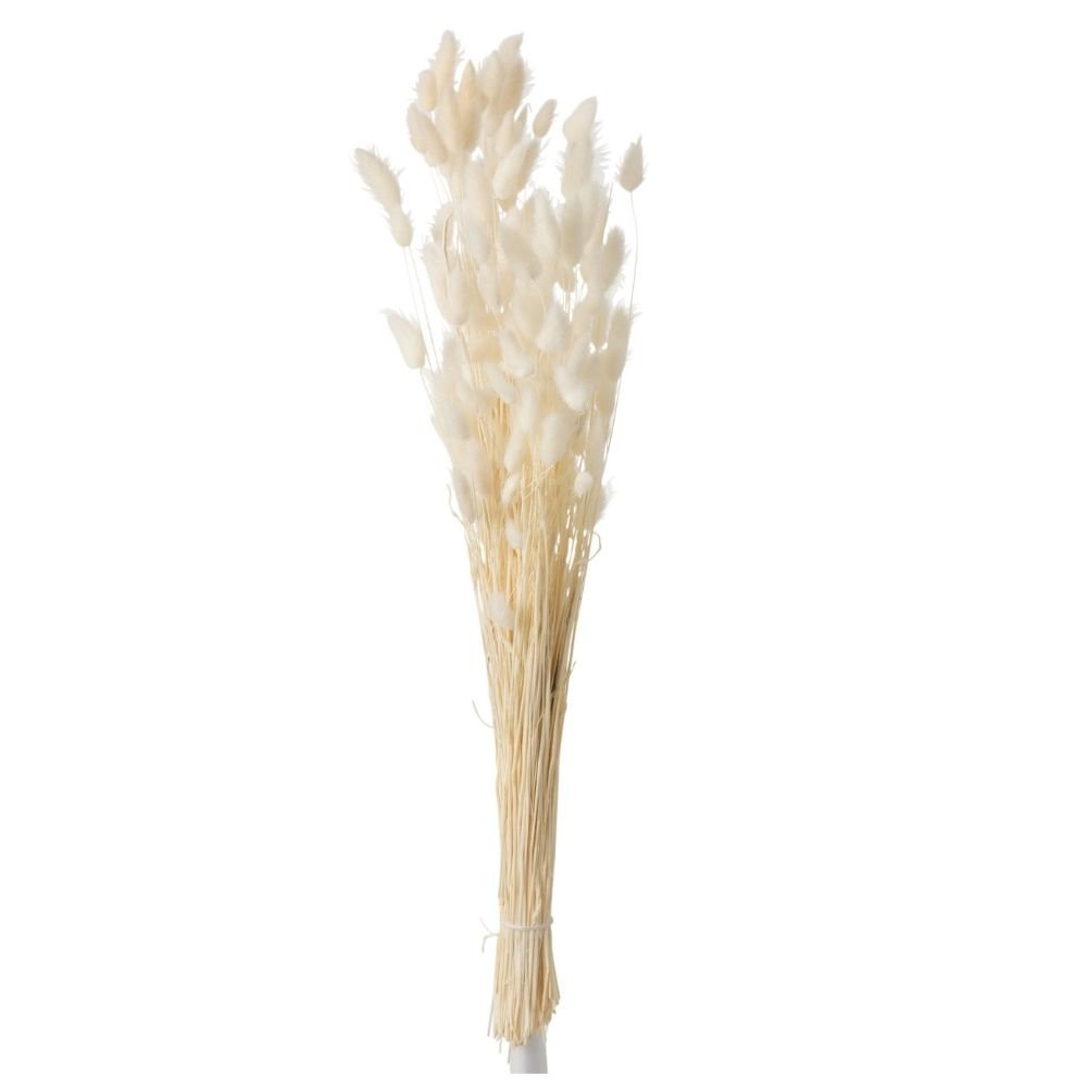 Bouquet de fleurs séchées J-Line en écru, détail des plumes