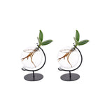 Clusia en Verre Victoria - 2 pièces - Ø5cm - ↕10cm