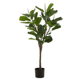 Plante à feuilles de violon J-Line, idéale pour décoration intérieure