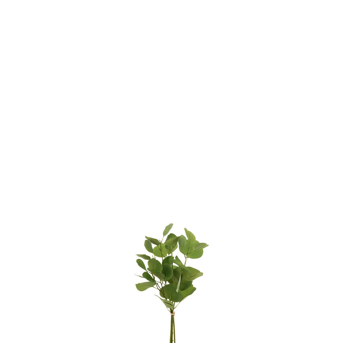 Bouquet d'eucalyptus vert J-Line en textile, vue de face