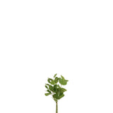 Bouquet d'eucalyptus vert J-Line en textile, vue de face