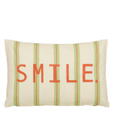 Coussin décoratif Vert
