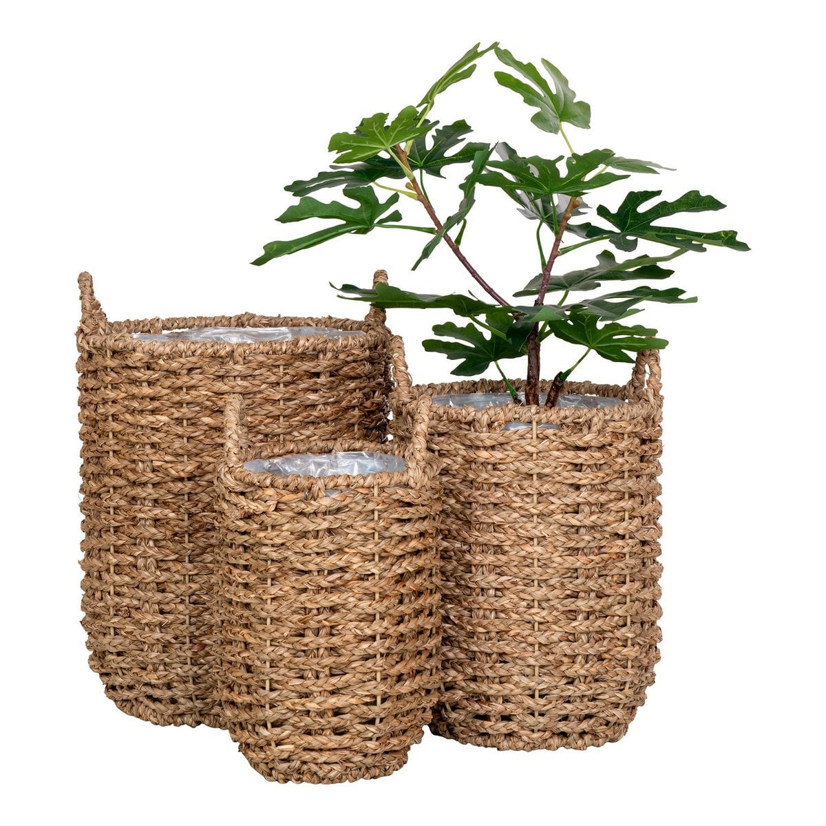 Hue Planter - Ensemble des trois tailles de jardinières