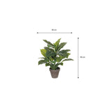 Vue rapprochée de la plante artificielle Evergreen dans son pot