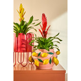 Ensemble de support pour plantes Dione Rose