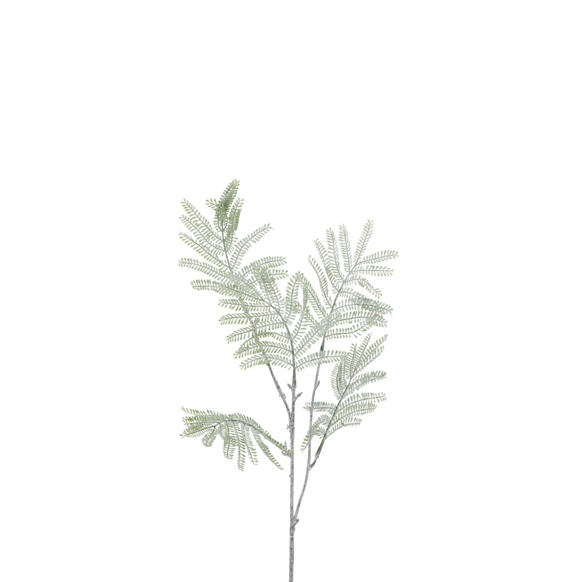 Branche Mimosa J-Line en plastique vert, décoration élégante pour intérieur.