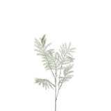 Branche Mimosa J-Line en plastique vert, décoration élégante pour intérieur.