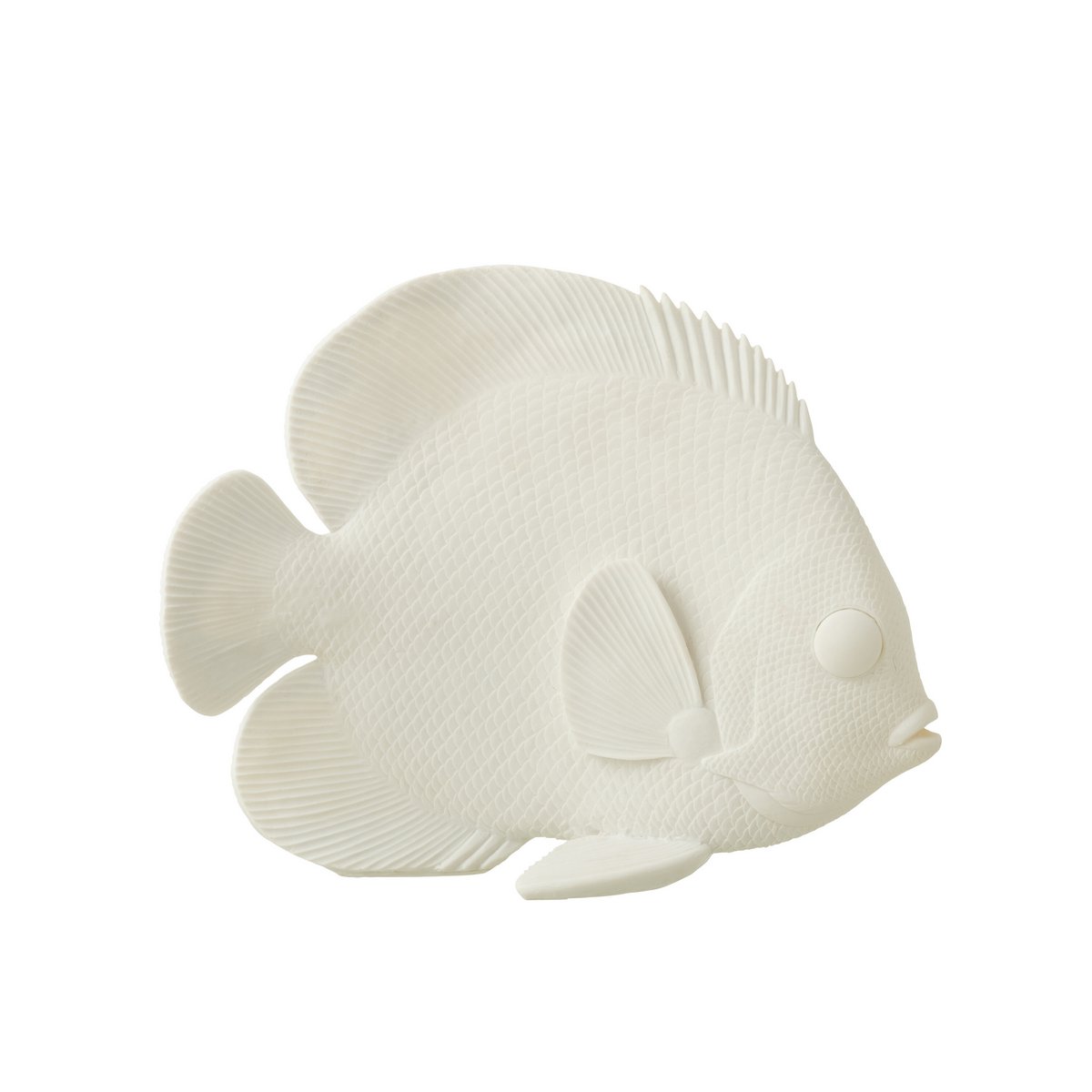 Image de diapositive