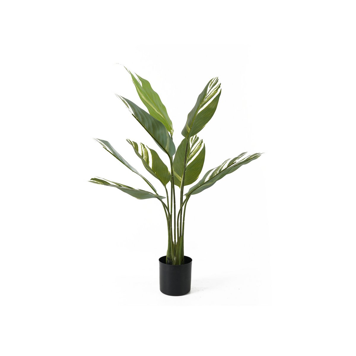 Plante artificielle Calathéa avec feuillage vert luxuriant, idéale pour une décoration intérieure élégante.