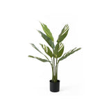 Plante artificielle Calathéa avec feuillage vert luxuriant, idéale pour une décoration intérieure élégante.