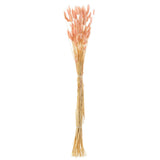 Vue rapprochée de la texture du rotin et des fleurs séchées