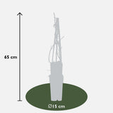 3x - Hortengea pétiolaris - ↨65 cm - Ø15