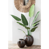 Plante artificielle Strelitzia J-Line sur un fond blanc