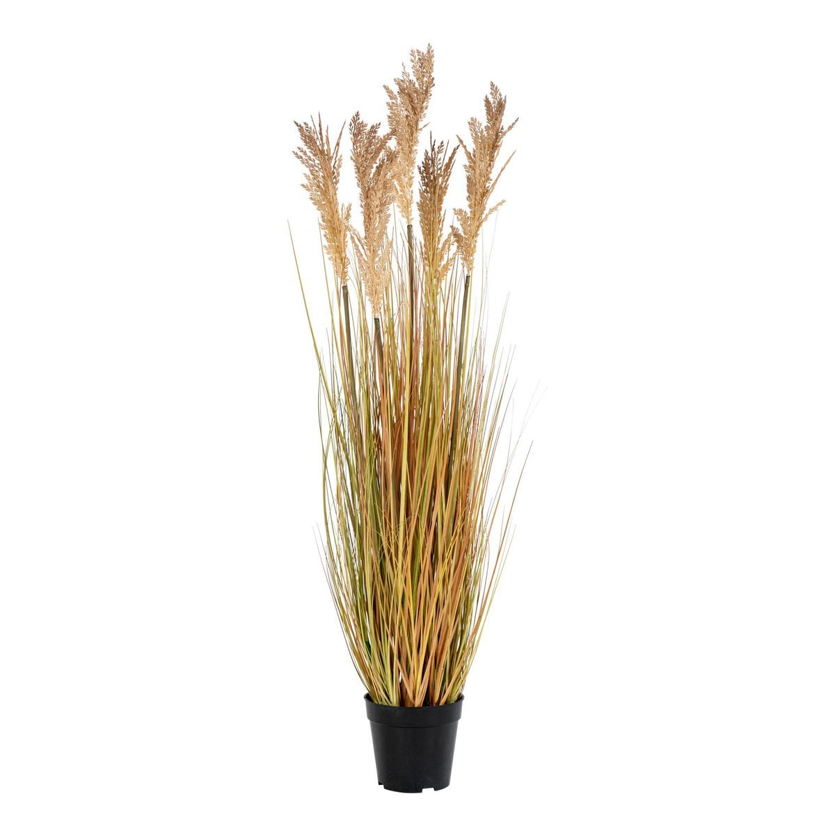 Herbe de sorgho artificielle, vue de face avec pot en ciment