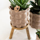 Maison Colibri | Support à plantes - Réhausse à plantes en bois Ø12cm