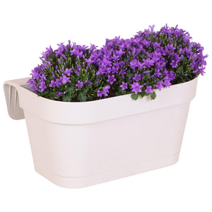 Bac de balcon blanc avec 3 campanules violettes pot Ø12 cm