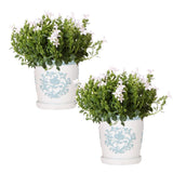 Campanula Addenda Ambella White dans un pot décoratif élégant de 12 cm