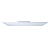 Panneau d'assemblage LED "Nicola", lampe de montage en métal et en plastique avec des LED fermement construites en blanc neutre, panneau pour l'intérieur 119,5 x 29,5 cm
