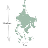 Scindapsus Pictus Trebie - Epipremnum - Ø15cm - ↕25cm