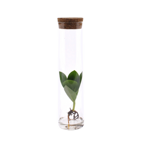 Pipe en verre Inclusion - Ø5cm - ↕15cm