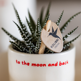 Home Kolibri | À la lune et au dos Sierpot - Ø6cm