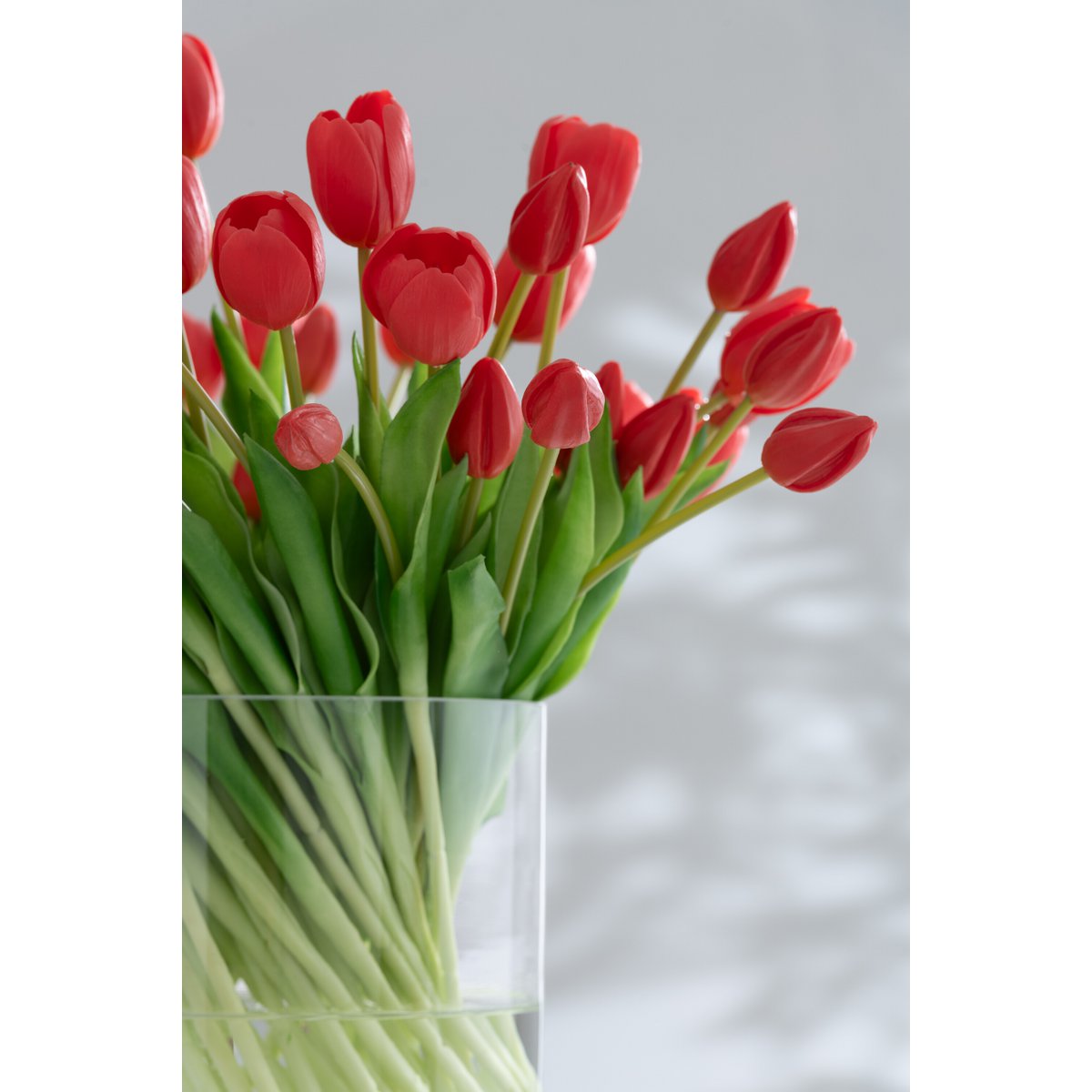Détail des tulipes roses corail du bouquet J-Line