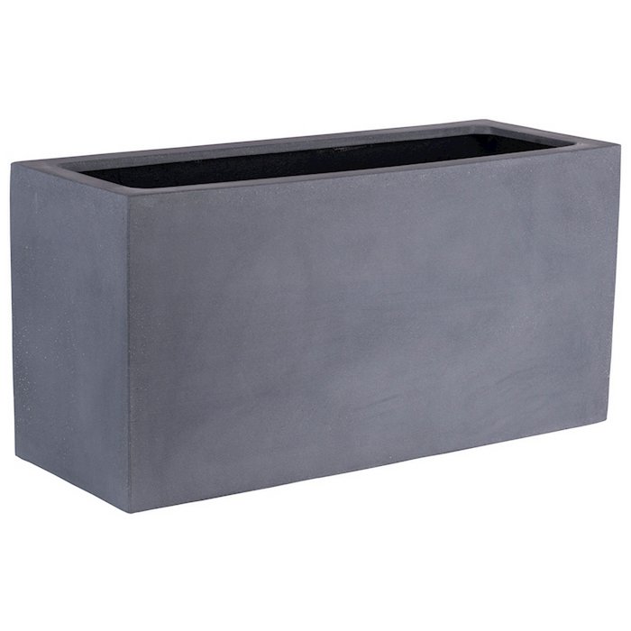 Image de diapositive