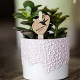 Lot de 3 cache-pots roses en résine 6, 9 et 12 cm