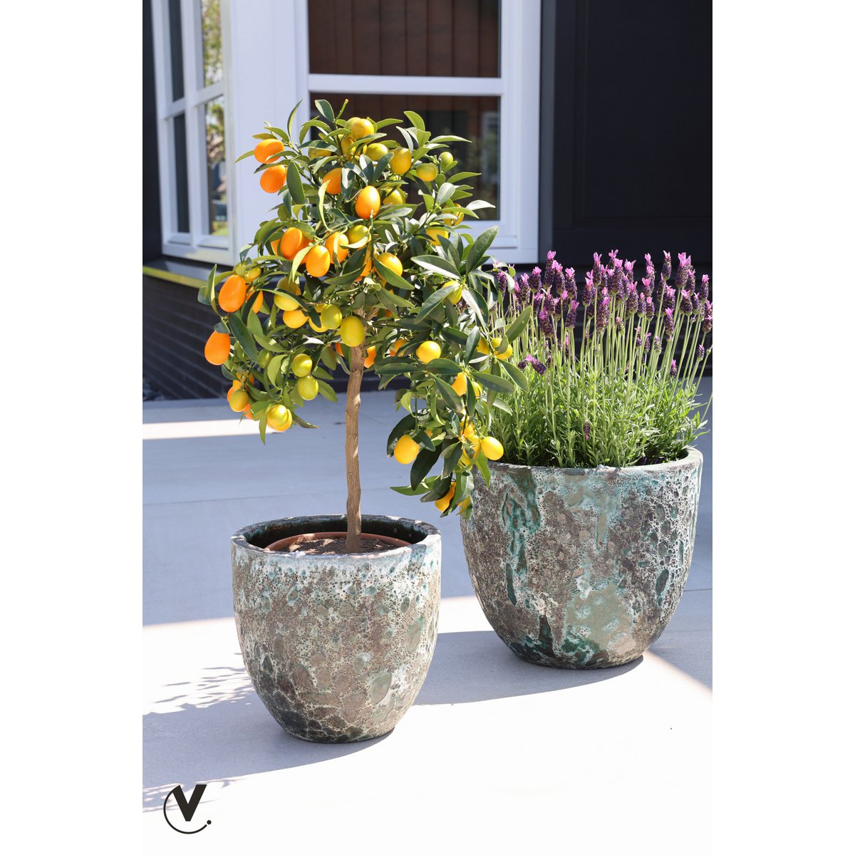 Image de diapositive