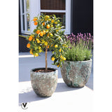 Lot de 2 cache-pots en céramique vert