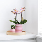 Plateau rond en bambou naturel diamètre 30 cm