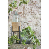 Support pour plantes Ascot Noir