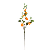 Branche d'art Orange