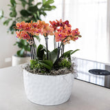 Bol à miel avec bouquet d'orchidées orange et plantes vertes