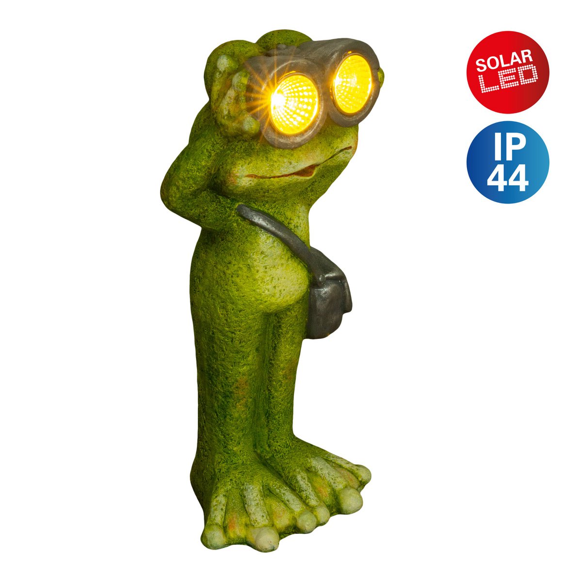 Image de diapositive