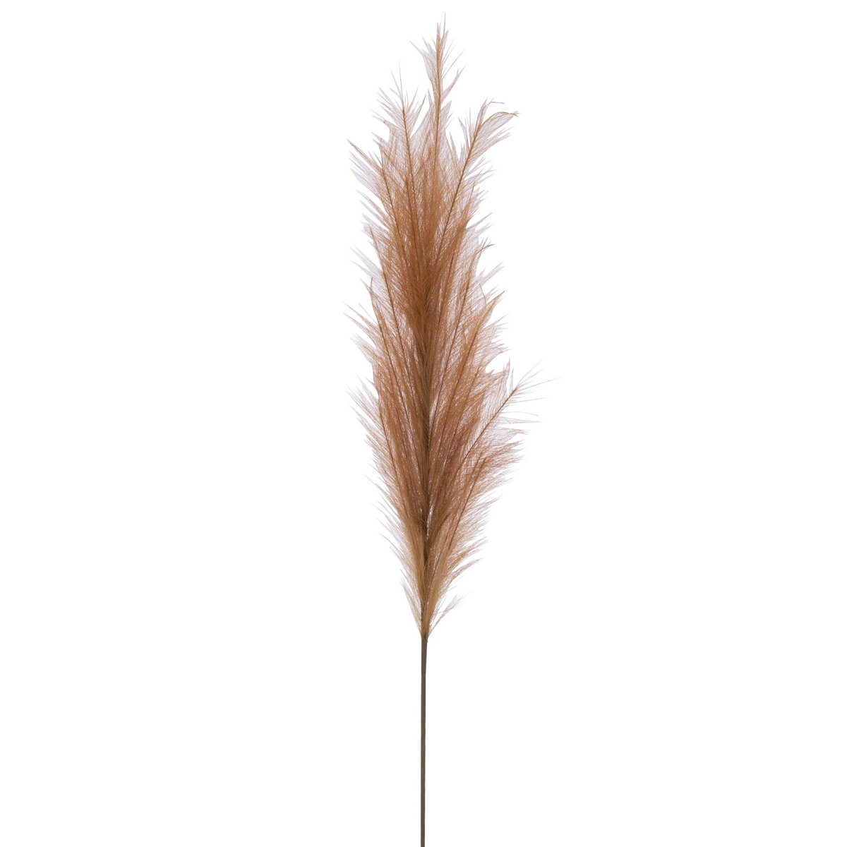 Détail du plumeau Branch J-Line, hauteur 160 cm, style bohème et moderne.