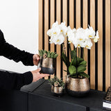 Maison Colibri | Pot Elite en cuivre - Ø9cm