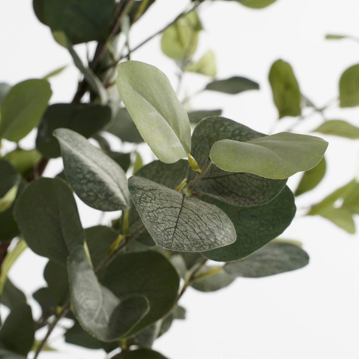 Plante artificielle eucalyptus dans son pot noir élégant
