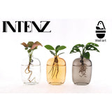 Décoration murale en verre avec plantes d'intérieur Santiago